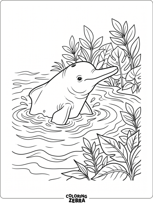 A pink river dolphin surfacing in calm water