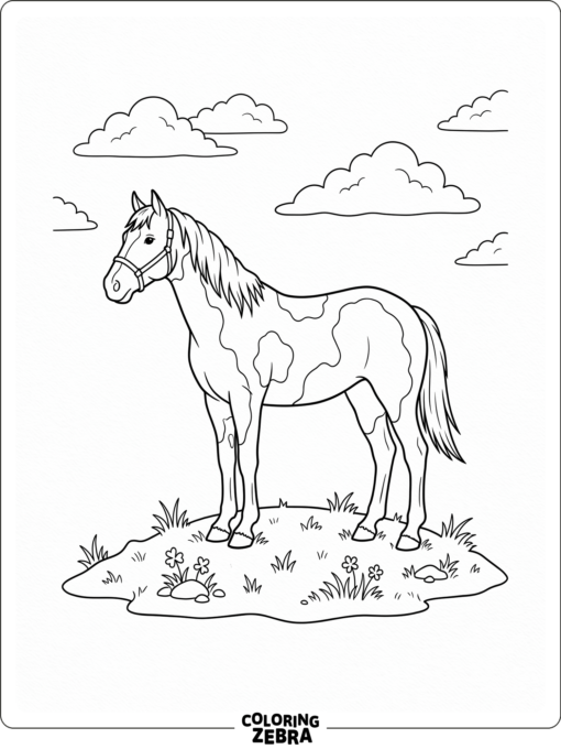 A pinto horse stands on a small hill