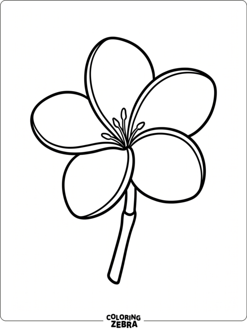 A plumeria flower with rounded petals and a short stem
