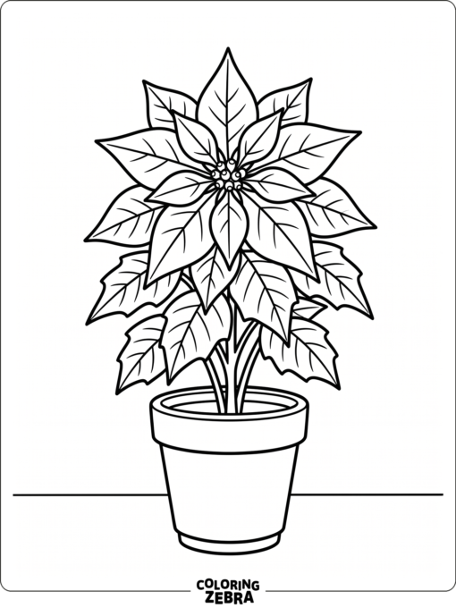 A poinsettia plant with star-shaped leaves in a pot