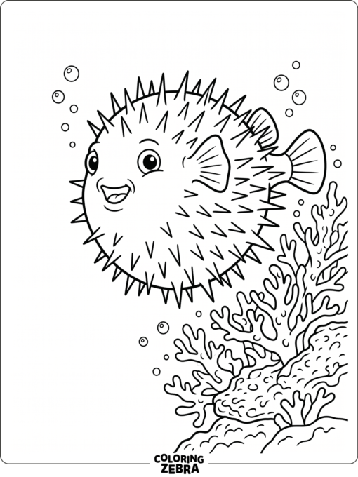 A puffed porcupine fish near coral