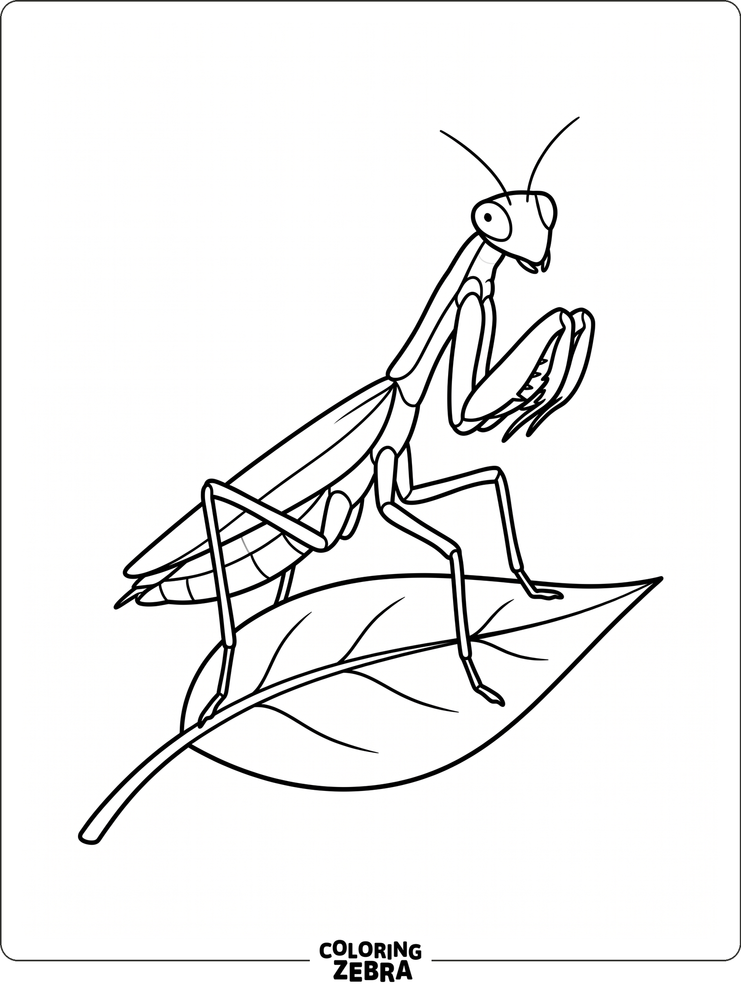 A praying mantis with folded legs on a leaf