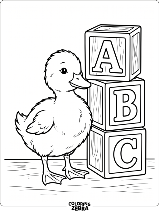 A duckling next to alphabet blocks