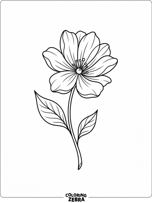 A graceful flower with clean petals and leaves