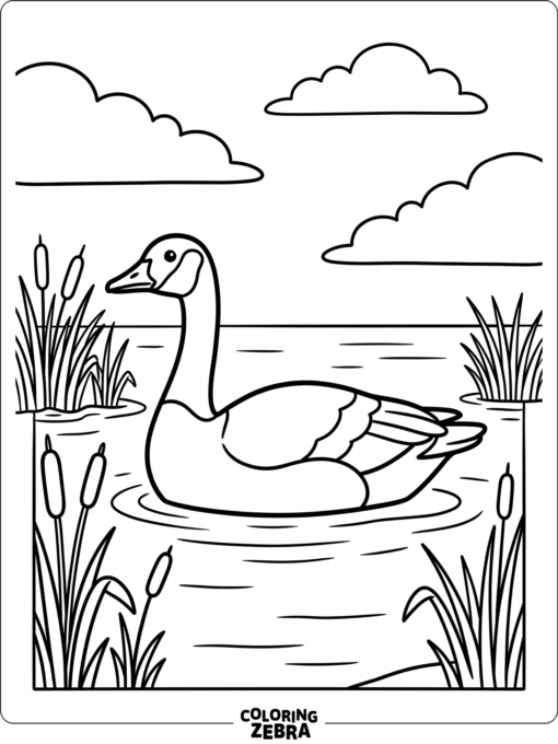 A Canada goose gliding over calm water