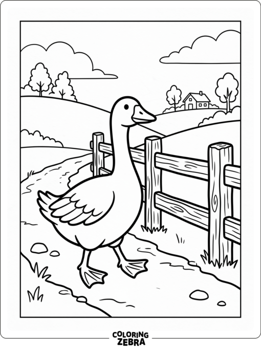 A goose walking along a farm fence
