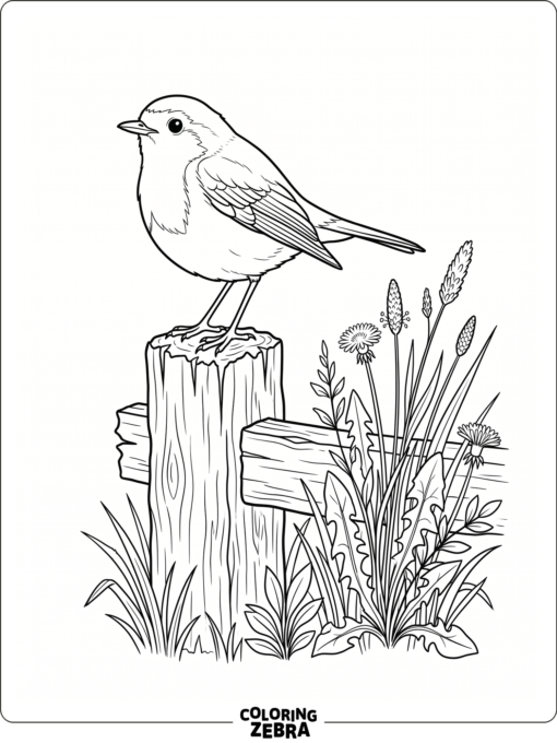 A realistic robin on a fence post with grass