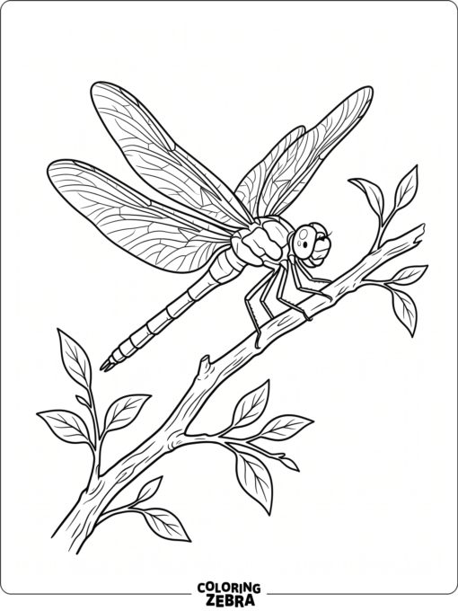 A realistic dragonfly on a branch