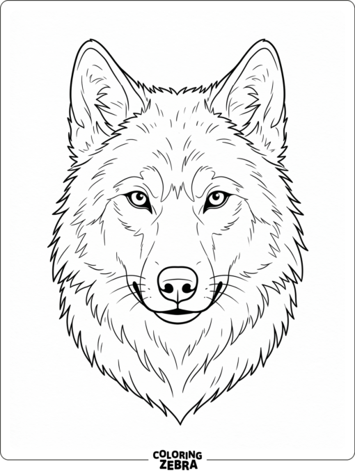 A realistic wolf head with alert ears