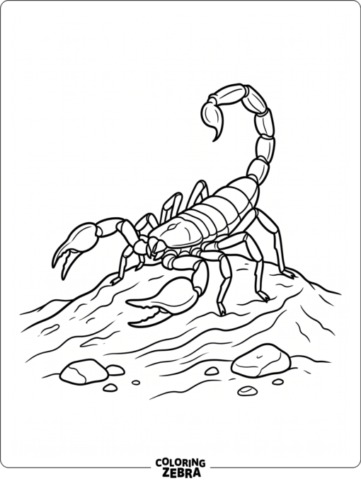 A scorpion standing on a dune