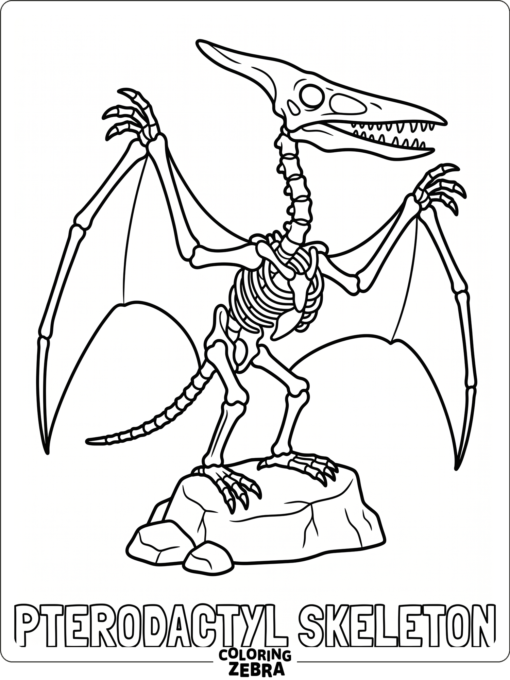 A pterodactyl skeleton on a plain background