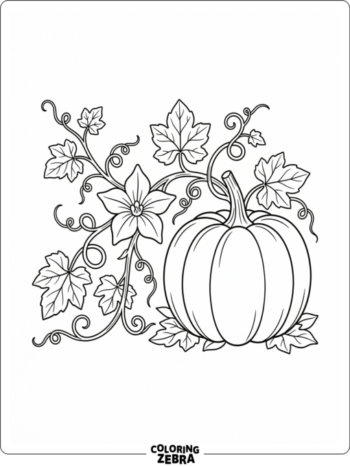 A pumpkin vine with a flower and curling leaves