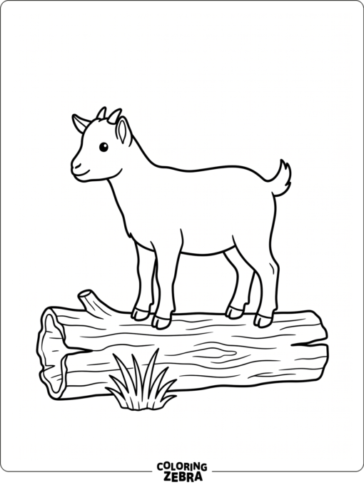 A small pygmy goat standing on a log