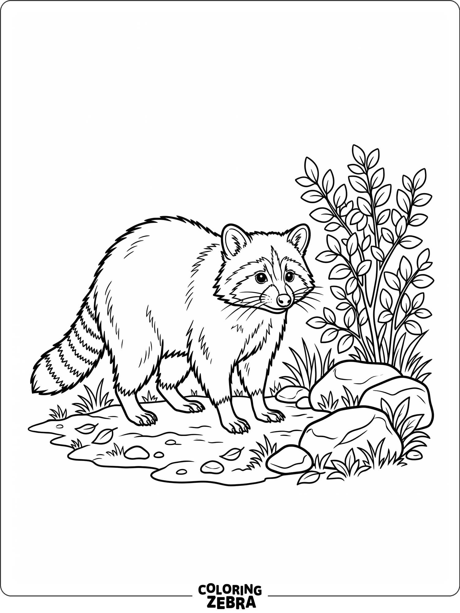 Prinable Racoon Colouring Pages 32 Free Racoon Coloring Pages - Printable PDF Sheets