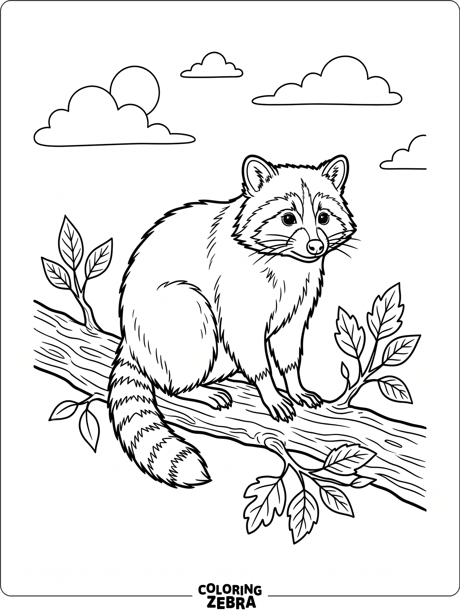 Prinable Racoon Colouring Pages 32 Free Racoon Coloring Pages - Printable PDF Sheets