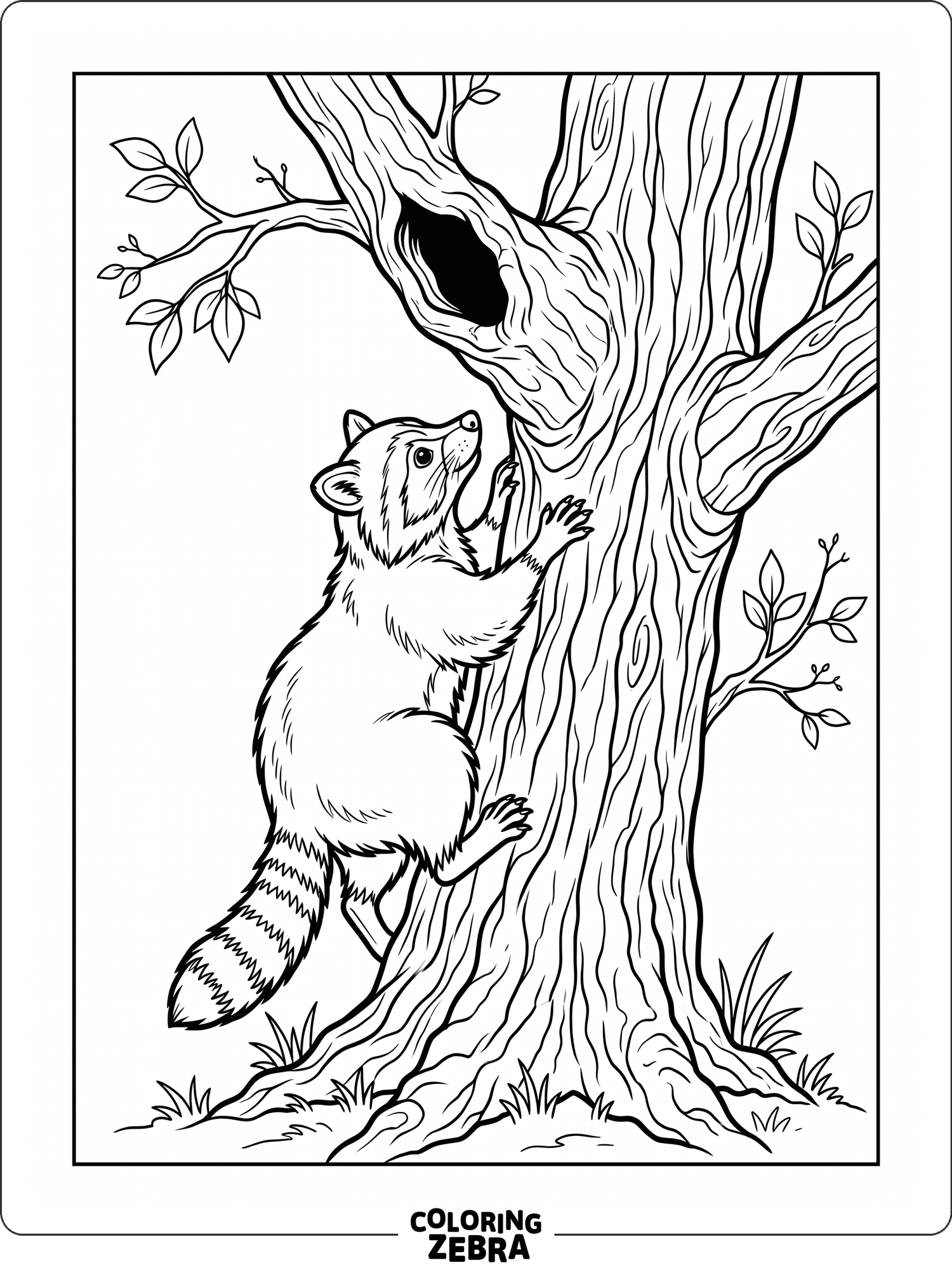 32 Free Racoon Coloring Pages - Printable PDF Sheets