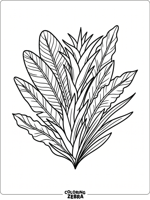 A group of tropical leaves with broad outlines