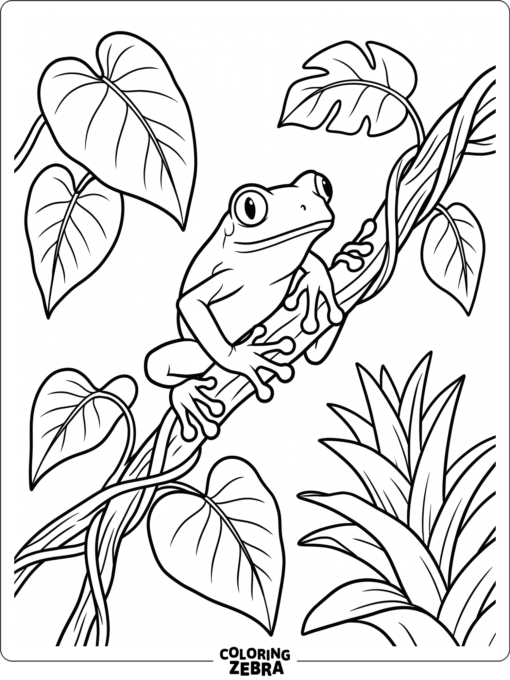 A rainforest tree frog on a vine with broad leaves