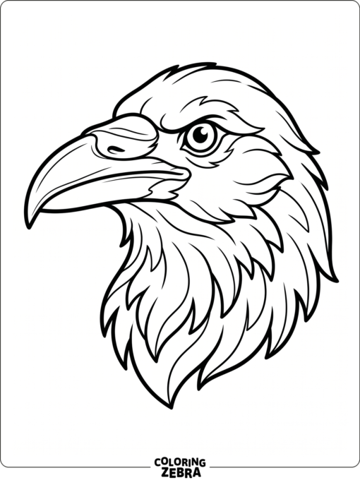 A close-up raven face with sharp eyes and smooth feathers