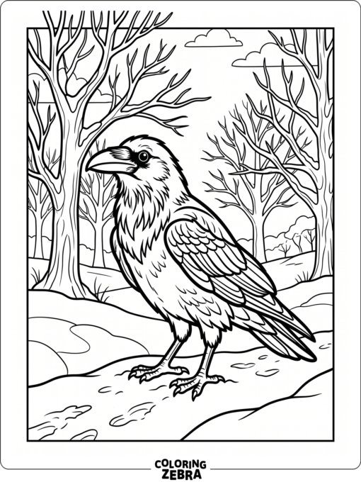 A raven stands in snow with bare trees behind it