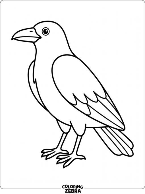 A simple raven outline with clean wings and tail feathers