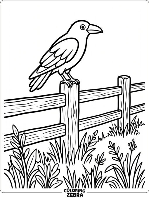 A raven perches on a wooden fence with grass below