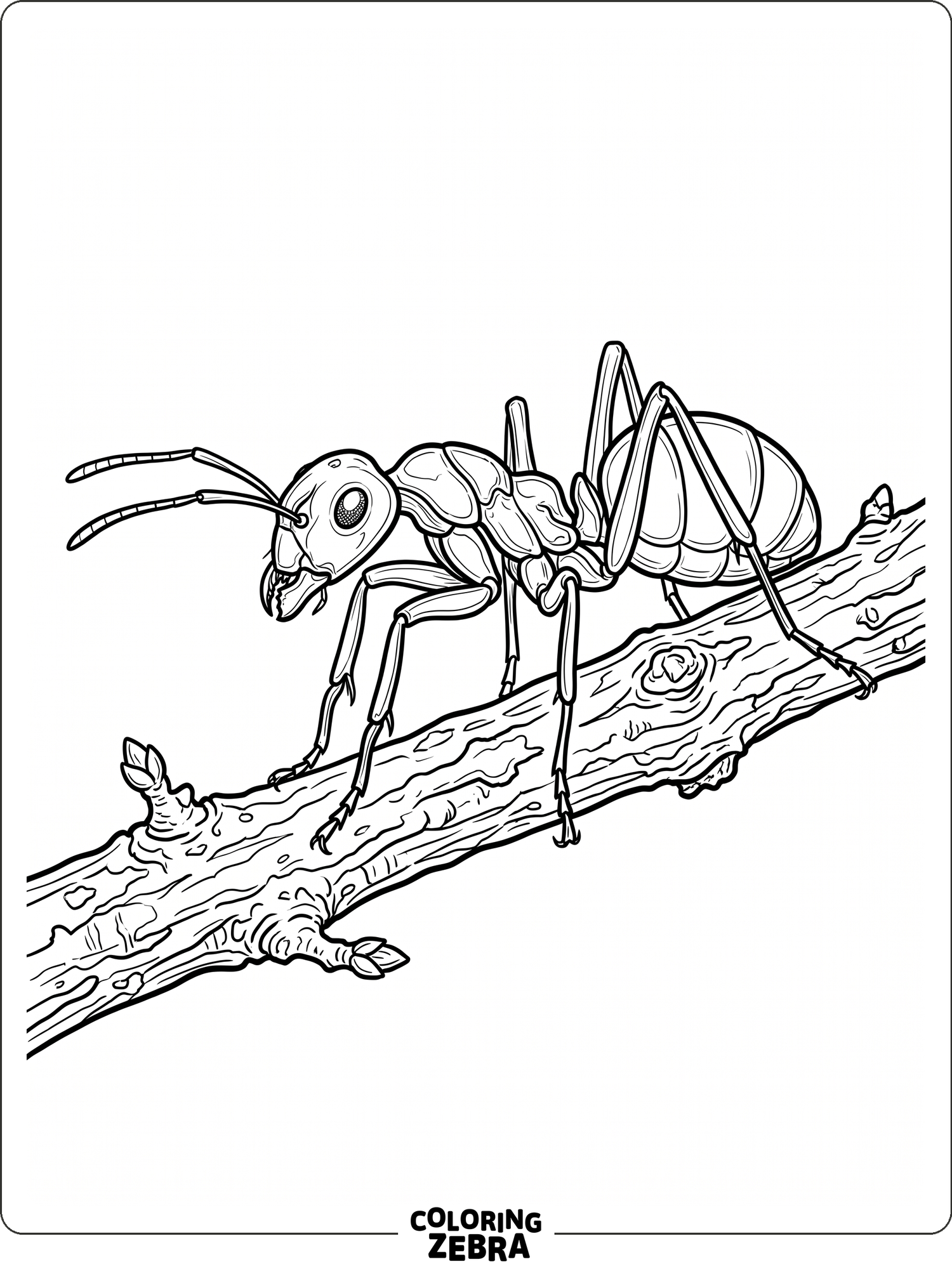 29 Free Ant Coloring Pages - Printable PDF Sheets