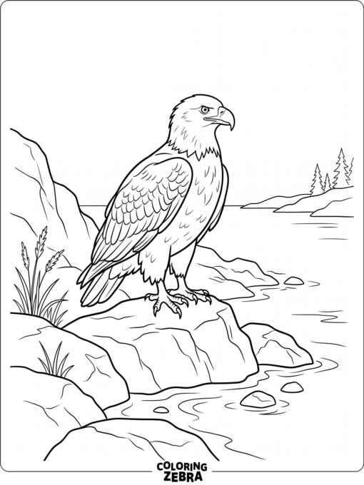 A realistic bald eagle by the shoreline