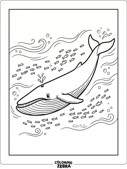 A blue whale with small fish nearby