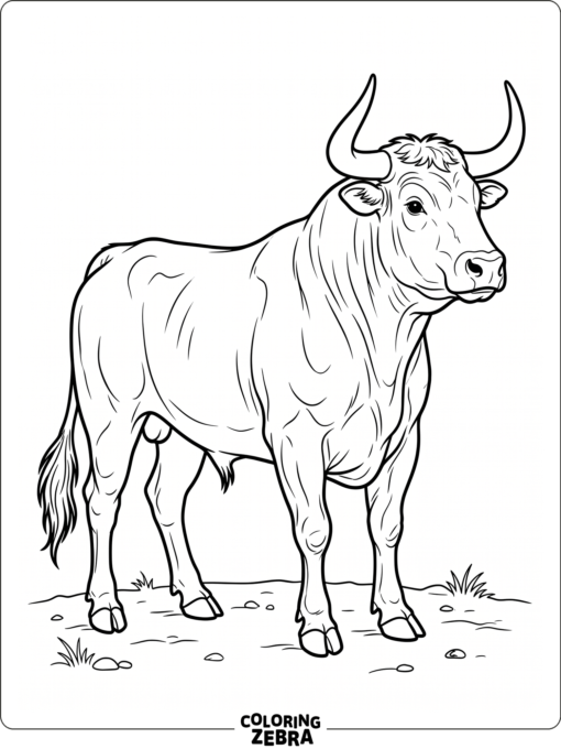 A realistic bull with strong muscles and curved horns