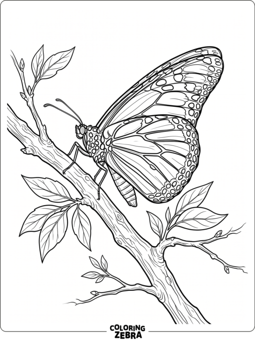 A realistic butterfly perched on a branch