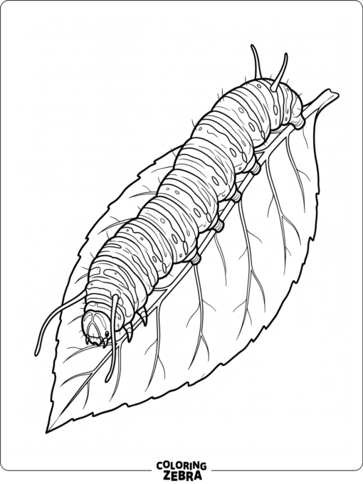 A detailed caterpillar on a leaf