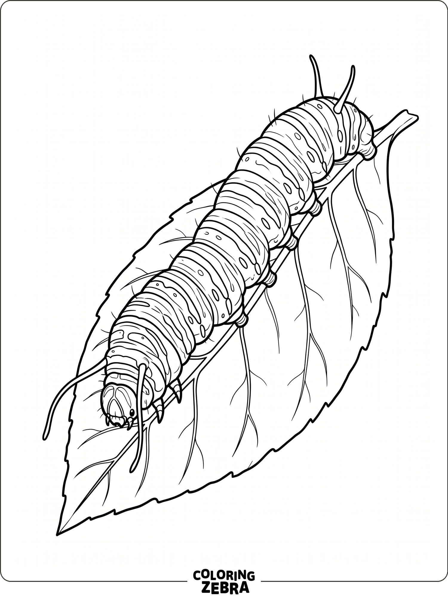 40 Free Caterpillar Coloring Pages - Printable PDF Sheets