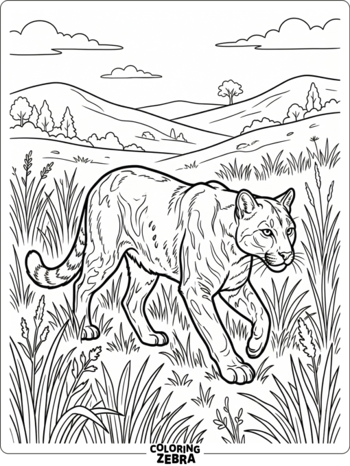 A realistic cougar walking through tall grass