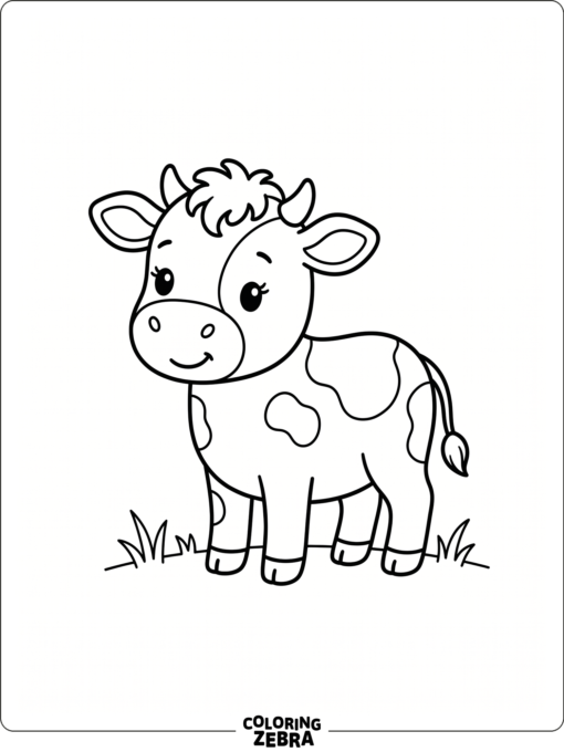 A small baby cow with a soft face and short legs stands in a simple pose.