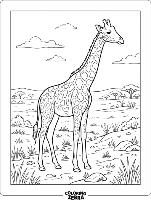 A realistic giraffe standing in a simple savanna scene