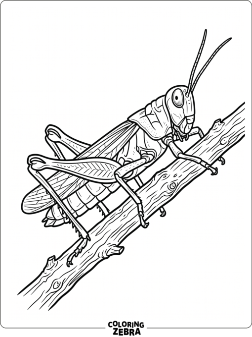 A detailed grasshopper on a twig