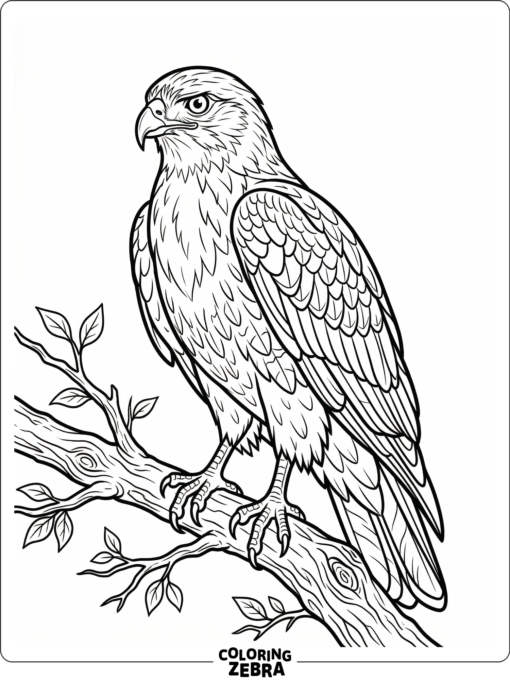 A realistic hawk perched on a branch