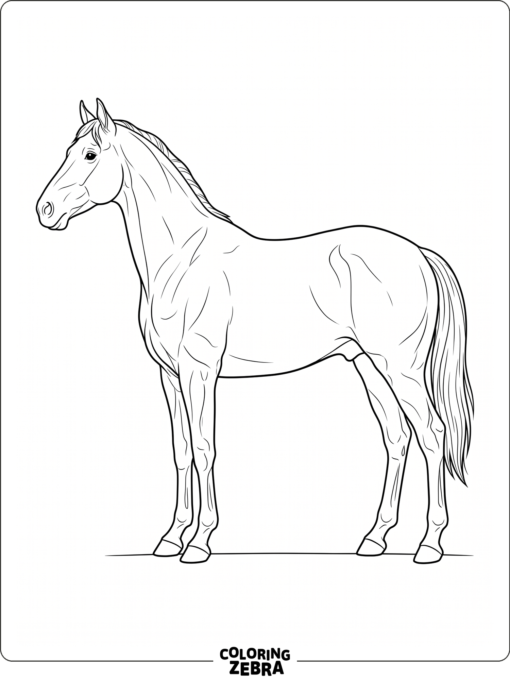 A realistic horse standing in profile