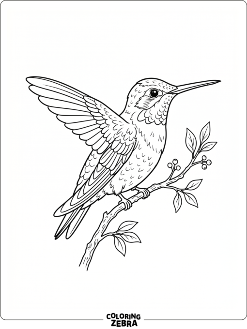 A realistic hummingbird resting on a branch