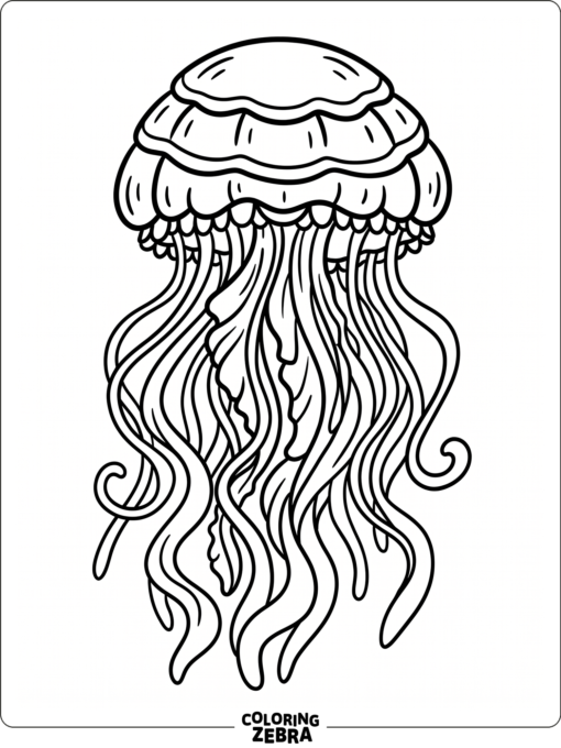 A realistic jellyfish with layered bell and long tentacles
