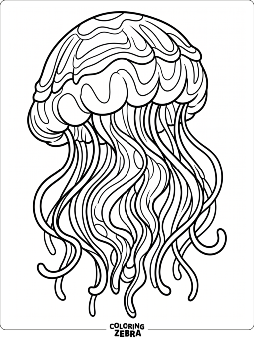 A detailed realistic jellyfish with layered edges