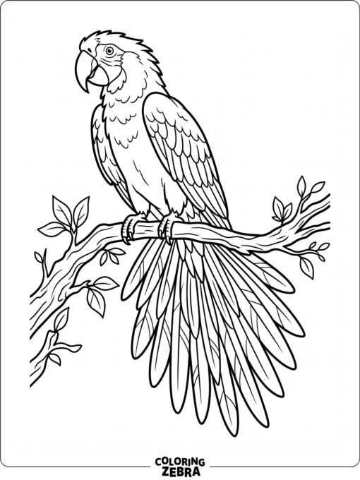 A macaw with spread tail feathers on a branch