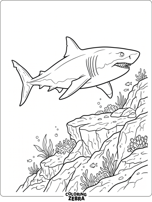 A realistic megalodon shark swimming near rocks