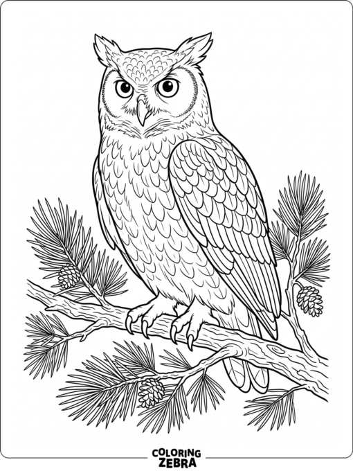 A realistic owl perched on a pine branch