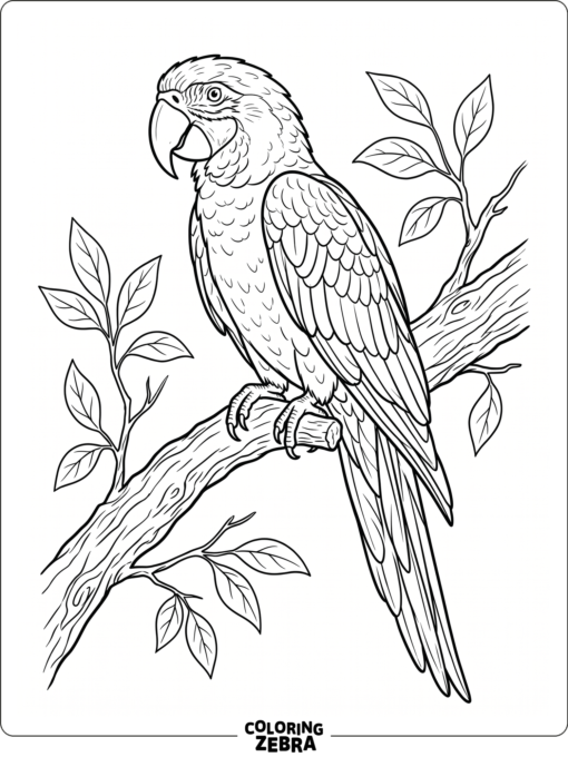 A realistic parrot sitting on a branch