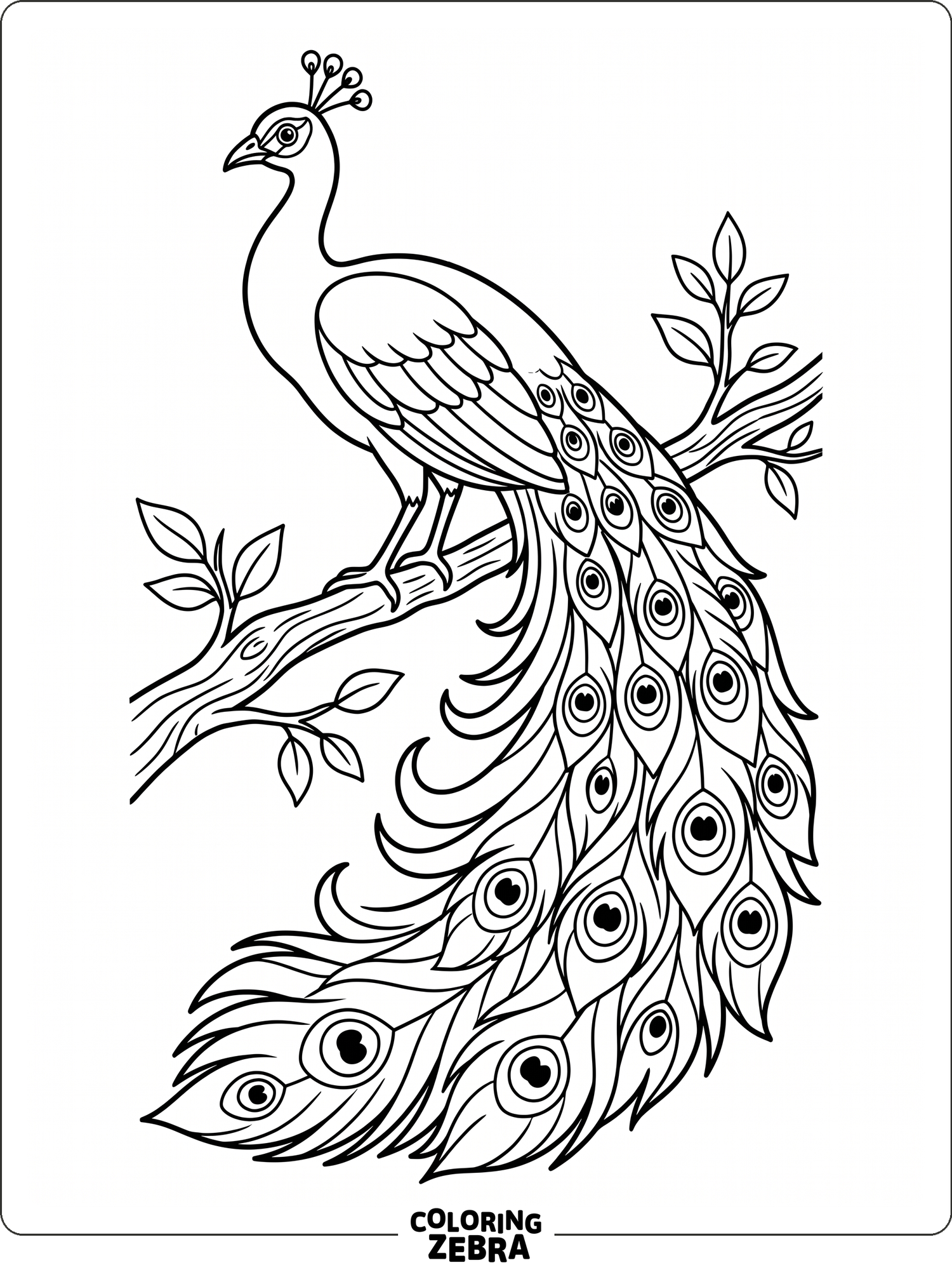 A peacock perched on a branch with patterned tail feathers