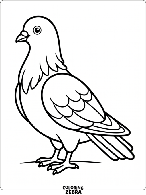 A realistic pigeon shown in profile