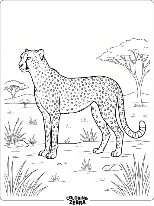 A realistic cheetah standing in profile