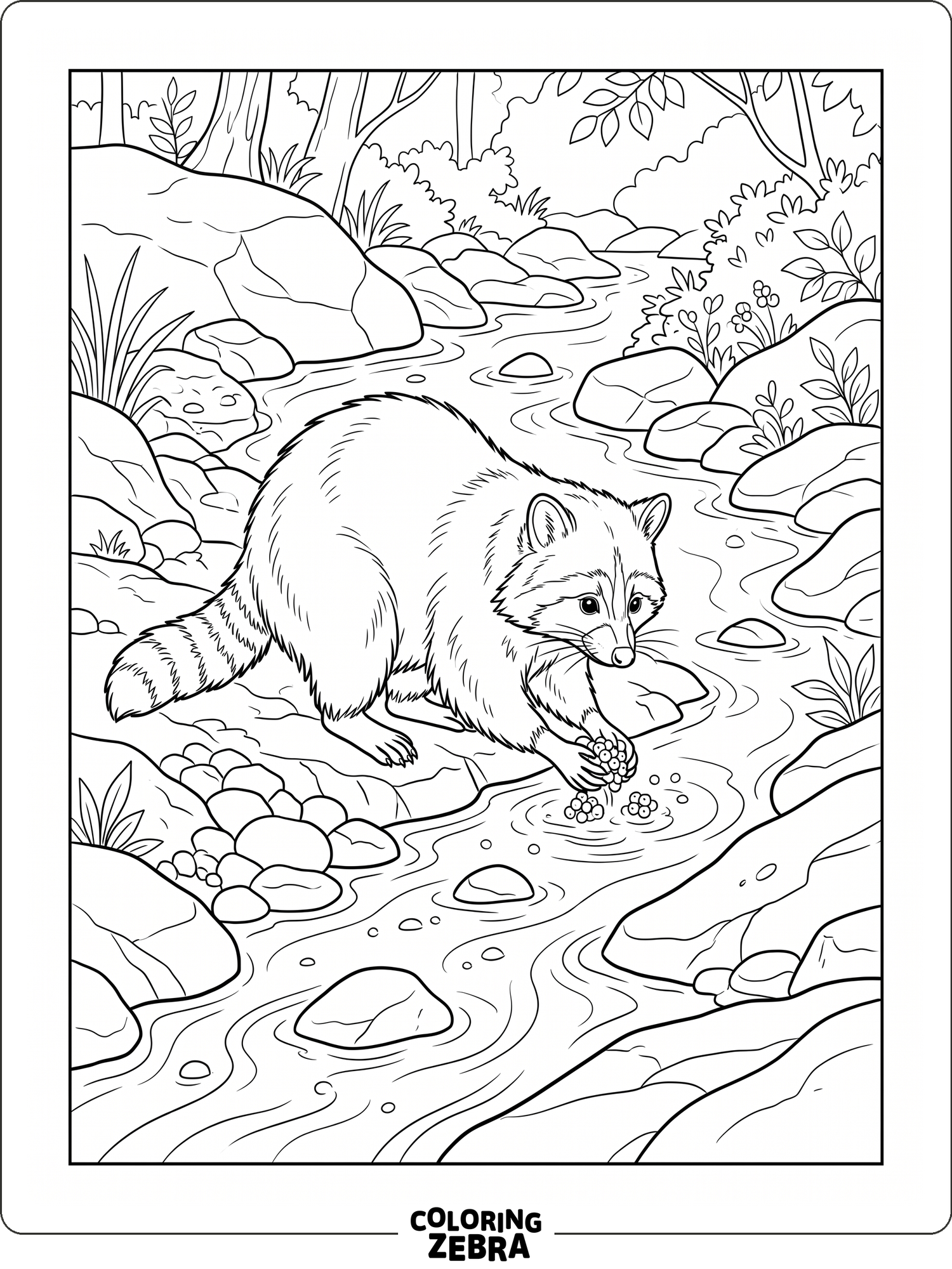 32 Free Racoon Coloring Pages - Printable PDF Sheets